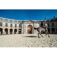 Behind the Scenes of the Royal Stables at Versailles Palace in French