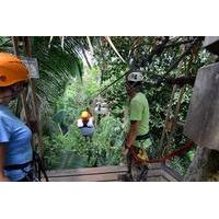 Belize City Shore Excursion: Canopy Zipline Tour