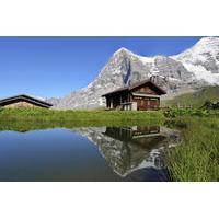 Bernese Oberland Alps Day Trip from Lucerne: Kleine Scheidegg and Jungfraujoch Panorama