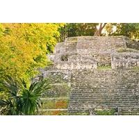 Belize New River Cruise and Lamanai Mayan Ruins Day Trip by Air from Ambergris Caye