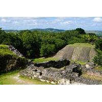 Belize Zoo and Xunantunich Day Trip by Air from Ambergris Caye