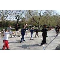 beijing family adventure tour kungfu class at temple of heaven and gre ...