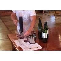 Be a Winemaker for a Day