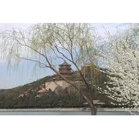 Beijing Small Group Tour: Summer Palace and Ming Tombs with Lunch