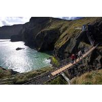 Belfast Shore Excursion: The Best of Northern Ireland Including Giant\'s Causeway