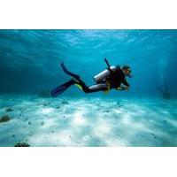 Bermuda Shore Excursion: 2-Tank Certified Scuba Dive