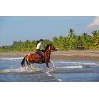 Beach Horseback Riding Adventure from Jaco