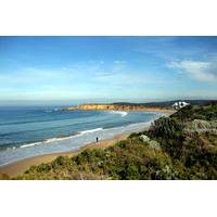 Bellarine Peninsula and Surf Coast Trike Day Tour for Two from Melbourne