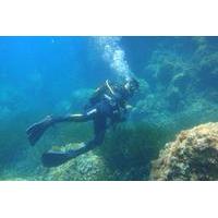 Beginner\'s Dive in Palma de Mal...