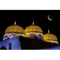 Best of Muscat by Night Tour