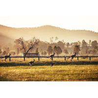 behind the scenes private luxury hunter valley winery tour