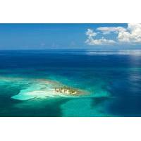 belize city shore excursion goffs caye barrier reef snorkeling and bea ...