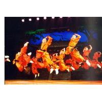 Beijing Private Tour: Shaolin Kung Fu Show and Gourmet Peking Roasted Duck Dinner with Private Transfer