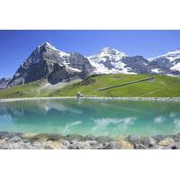 Bernese Oberland Alps Day Trip from Zurich: Kleine Scheidegg and Jungfraujoch Panorama