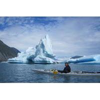 Bear Glacier Helicopter and Kayak Tour from Seward