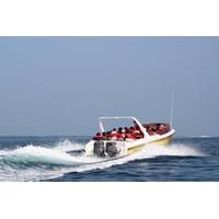 Bermuda Powerboat Round-the-Island Tour Including St George\'s