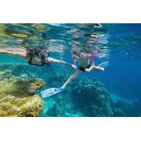 Bermuda Shore Excursion: Power Snorkel Adventure
