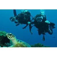 Beginner Scuba Diving Experience in Padangbai