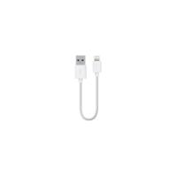 Belkin Lightning/USB Data Transfer Cable for iPod, iPad, iPhone, Notebook, MacBook Air, MacBook Pro - 15.24 cm