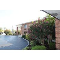 Best Western Celebration Inn & Suites
