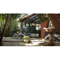 Bed & Breakfast Garden - Hostel