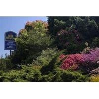 Best Western Alpine Motor Inn
