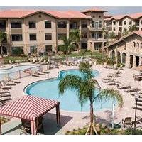 Bella Piazza Condos by Contempo