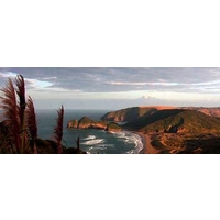 Bethells Beach Cottages