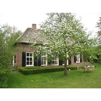 Bed & Breakfast Rezonans