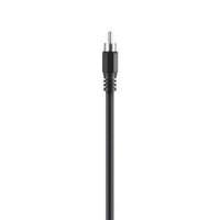 Belkin Coax Digital Audio Male/ Male Cable In Black 2m