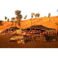 Bedouin Oasis Camp