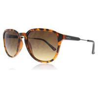 ben sherman andy sunglasses tortoise tort 59mm