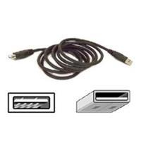 Belkin PRO Series - USB Extension Cable - USB (M) to USB (F) - 1.8m - Moulded