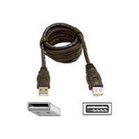 Belkin PRO Series - USB Extension Cable - USB (M) to USB (F) - 3m - Moulded