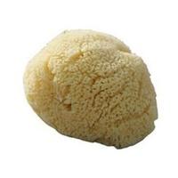 Beaming Baby Org Baby Sea Sponge 1large (1 x 1large)