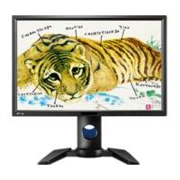 BenQ PG2401PT