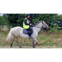beginners horse riding in bedfordshire
