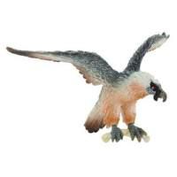 Bearded Vulture