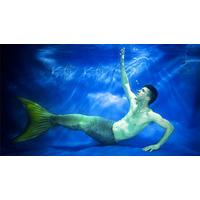 \'Become a Merman\' Freediving Course in Cornwall