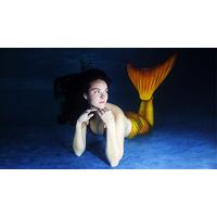 \'Become a Mermaid\' Freediving Course in Cornwall