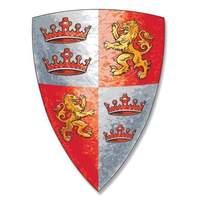 BestSaller 43.3 x 31.5 cm Lionheart Shield (Multi-Colour)