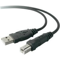 Belkin F3U154CP3M