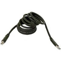 Belkin Pro Series USB 2.0 Cable 1.8m (F3U133B06)