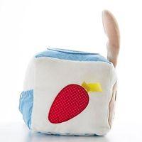 Beatrix Potter Peter Rabbit Activity Cube
