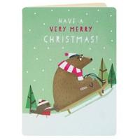 bear amp robin merry christmas card pack