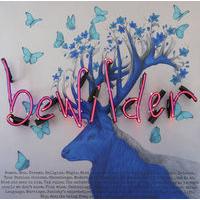 Bewilder By Louise McNaught and Rebecca Mason