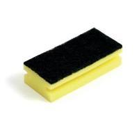 Bentley Sponge Scourers 1 x Pack of 10 SPCSC0310