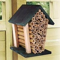 Bee House