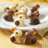 Belgian Rabbit Pralines