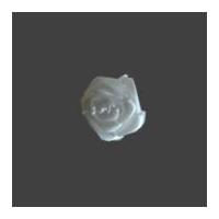 berisford ribbon roses 29 white